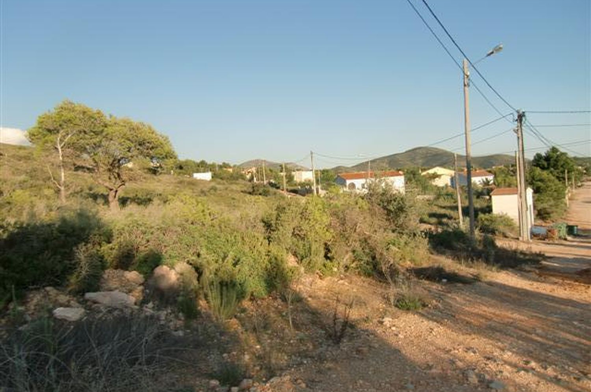 img_20230125_120040_0 5